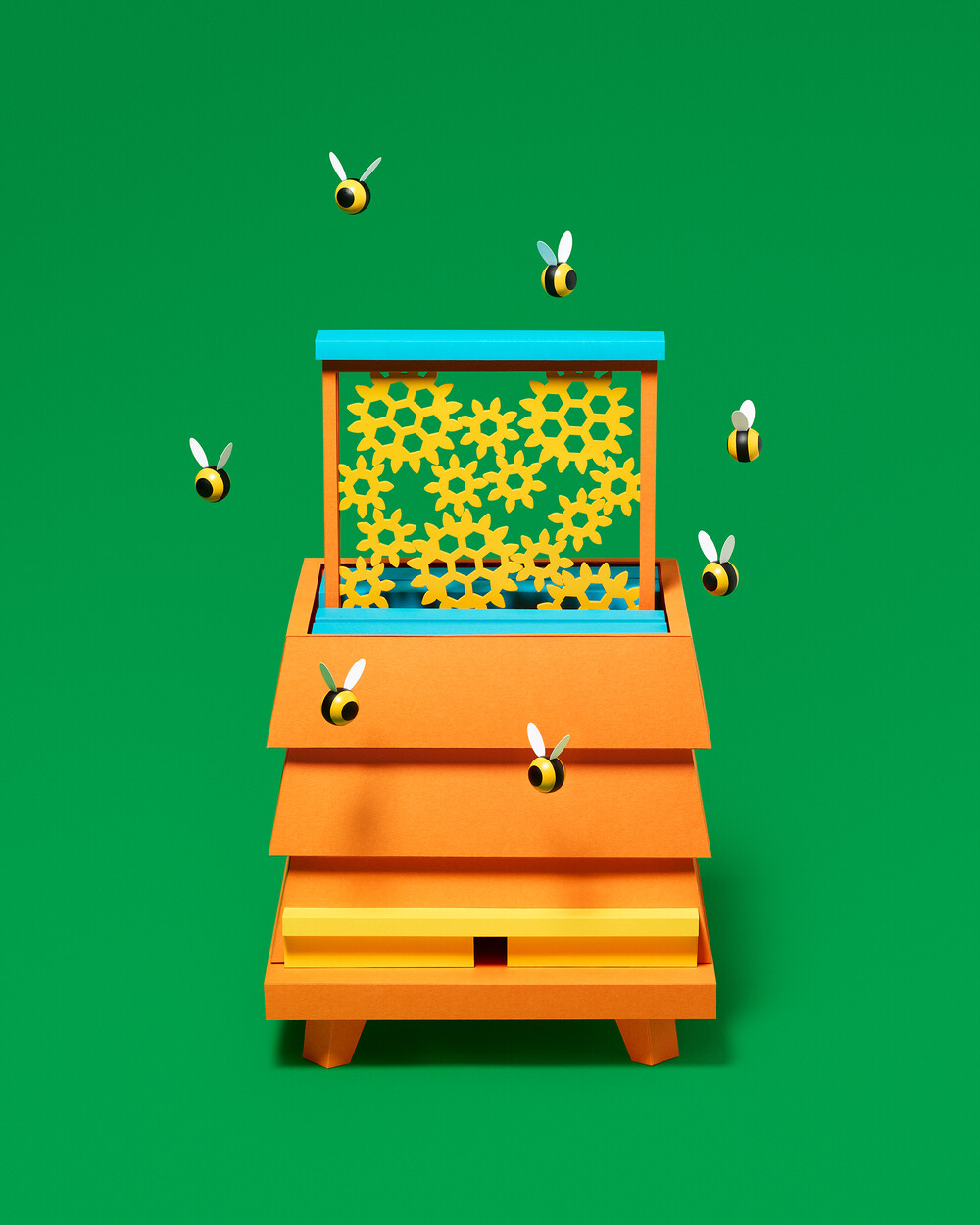 6
